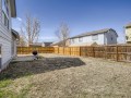 28-Back-Yard