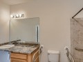 21-Primary-Bathroom