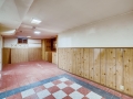 4586 E Dartmouth Avenue Denver-large-020-008-Lower Level Family Room-1500x1000-72dpi