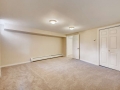 5000 E 2nd Ave Denver CO 80220-small-026-023-Lower Level Family Room-666x445-72dpi