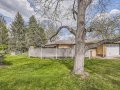 5099-S-Linden-Dr-Web-Quality-042-40-Backyard