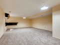 540 S Forest St A1 Denver CO-small-021-022-Lower Level Family Room-666x443-72dpi