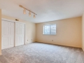 540 S Forest St A1 Denver CO-small-023-024-Lower Level Bedroom-666x443-72dpi