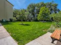29-Back-Yard