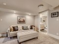 47-Lower-Level-Media-Room