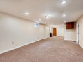 7777 S Dover Street Littleton-small-021-021-Lower Level Family Room-666x444-72dpi