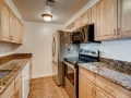 800 Pearl St 709 Denver CO-small-013-015-Kitchen-666x444-72dpi