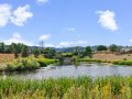 42-web-or-mls-5974-Leo-Rowen-8418-W-Toller-Ave-Littleton-CO-80128_140