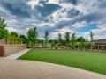 8643 Coors Street Arvada CO-small-025-024-Community Pool-666x445-72dpi