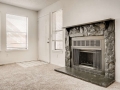 942 S Dearborn Way 5 Aurora CO-small-024-023-Living Room Fireplace-666x445-72dpi