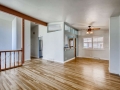 784 S Flamingo Ct Denver CO-small-006-007-Living Room-666x444-72dpi