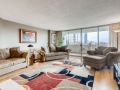1250 Humboldt 803 Denver CO-small-006-006-Living Room-666x444-72dpi