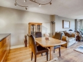 1250 Humboldt 803 Denver CO-small-009-012-Dining Room-666x444-72dpi